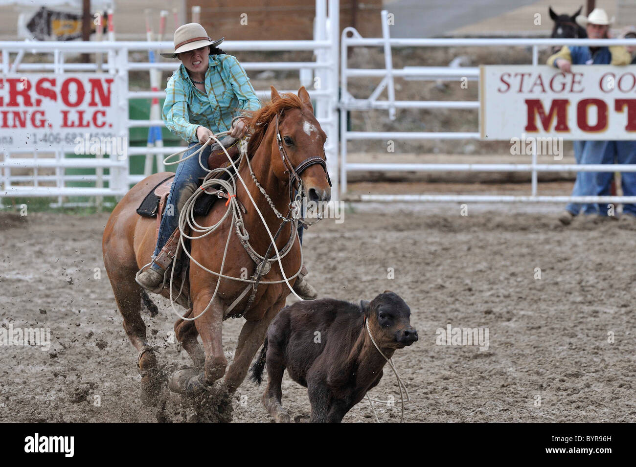 Tie-Down Roping, Calf Roping, Rodeo, Salmon, Idaho Stock Photo - Alamy