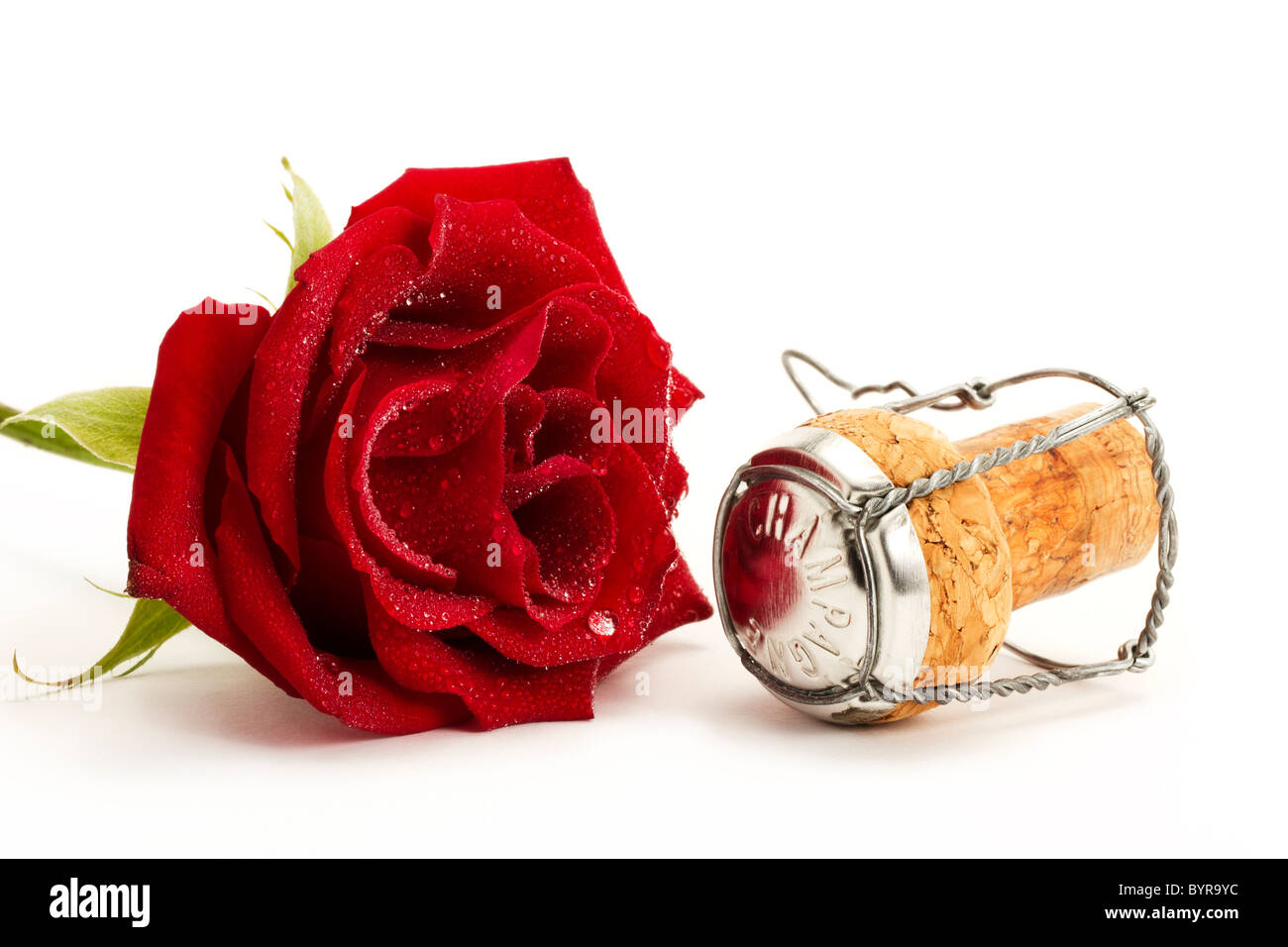 wet red rose and a cork on white background Stock Photo