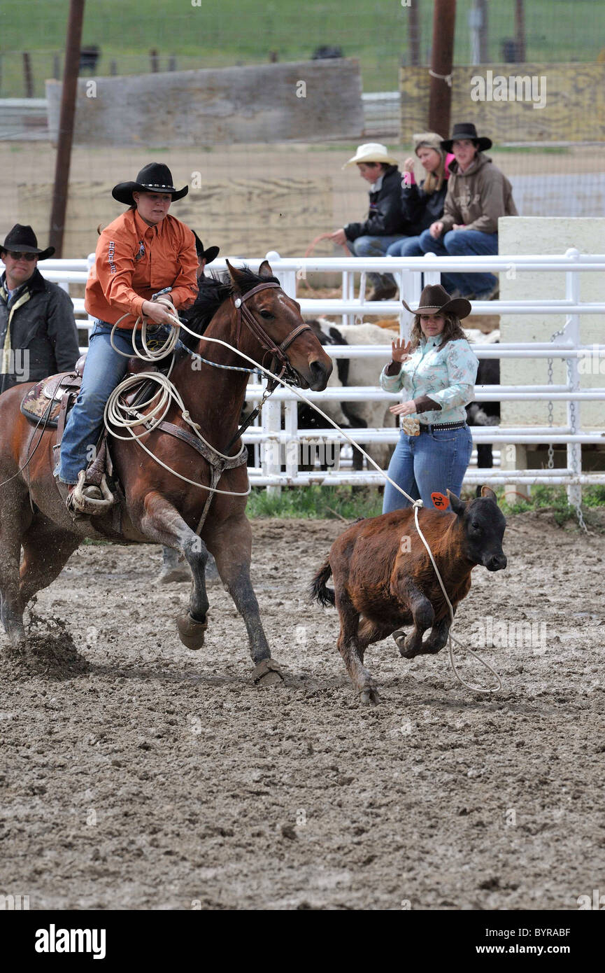 TieDown Roping, Calf Roping, Rodeo, Salmon, Idaho Stock Photo Alamy