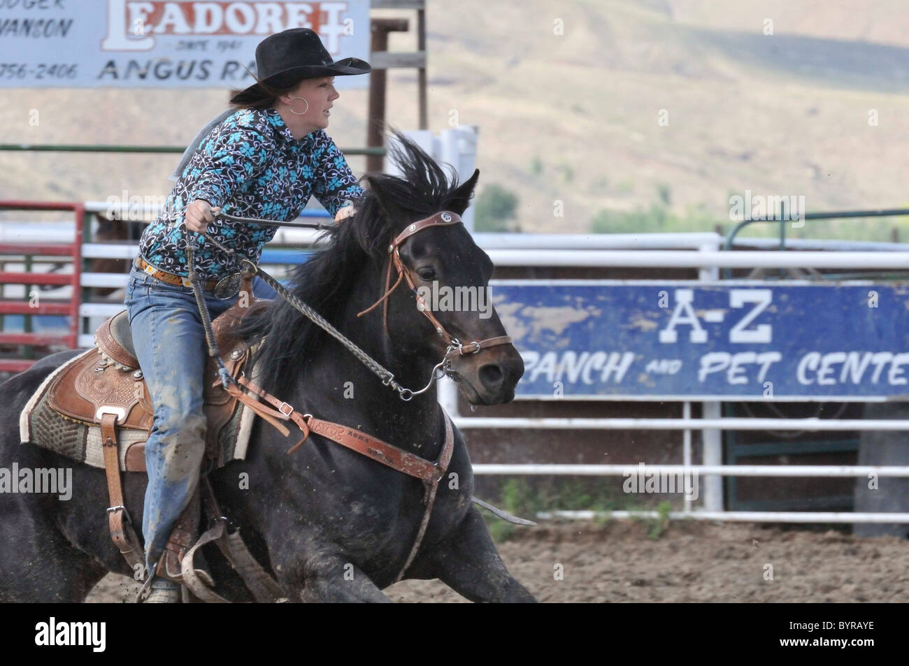 Pole bending race hi-res stock photography and images - Alamy