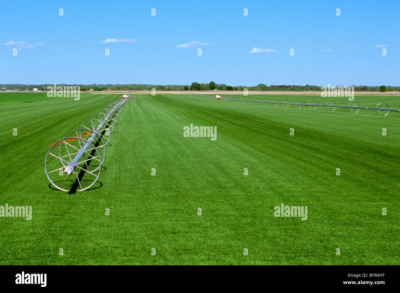 Agriculture Sod farm with a wheelmove irrigation system / Hampshire