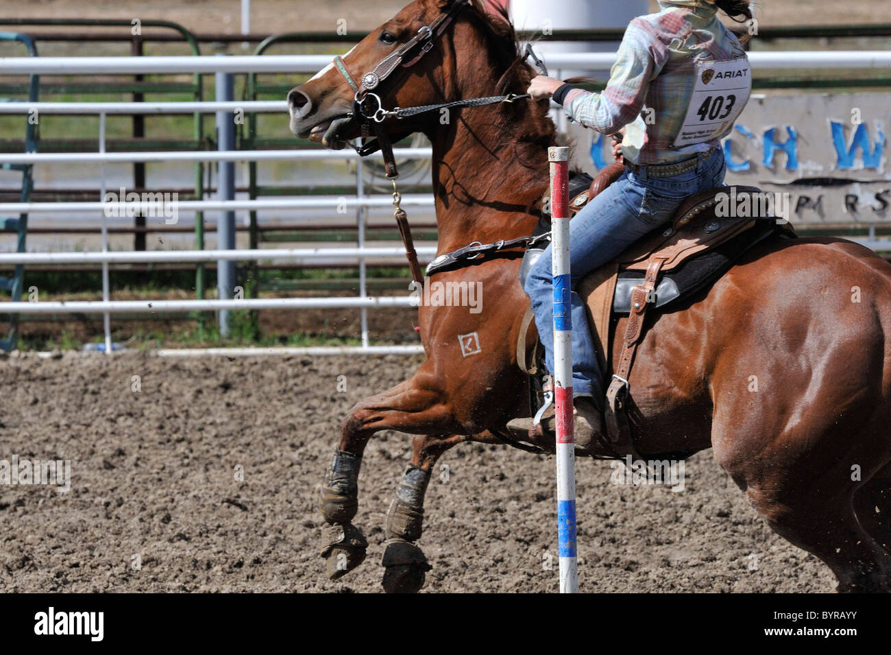 Pole Bending, Rodeo, Salmon, Idaho, Teen, Teenager, Horse, Horses ...