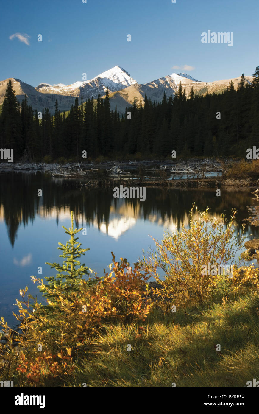 autumn colors in the rocky mountains; alberta, canada Stock Photo - Alamy