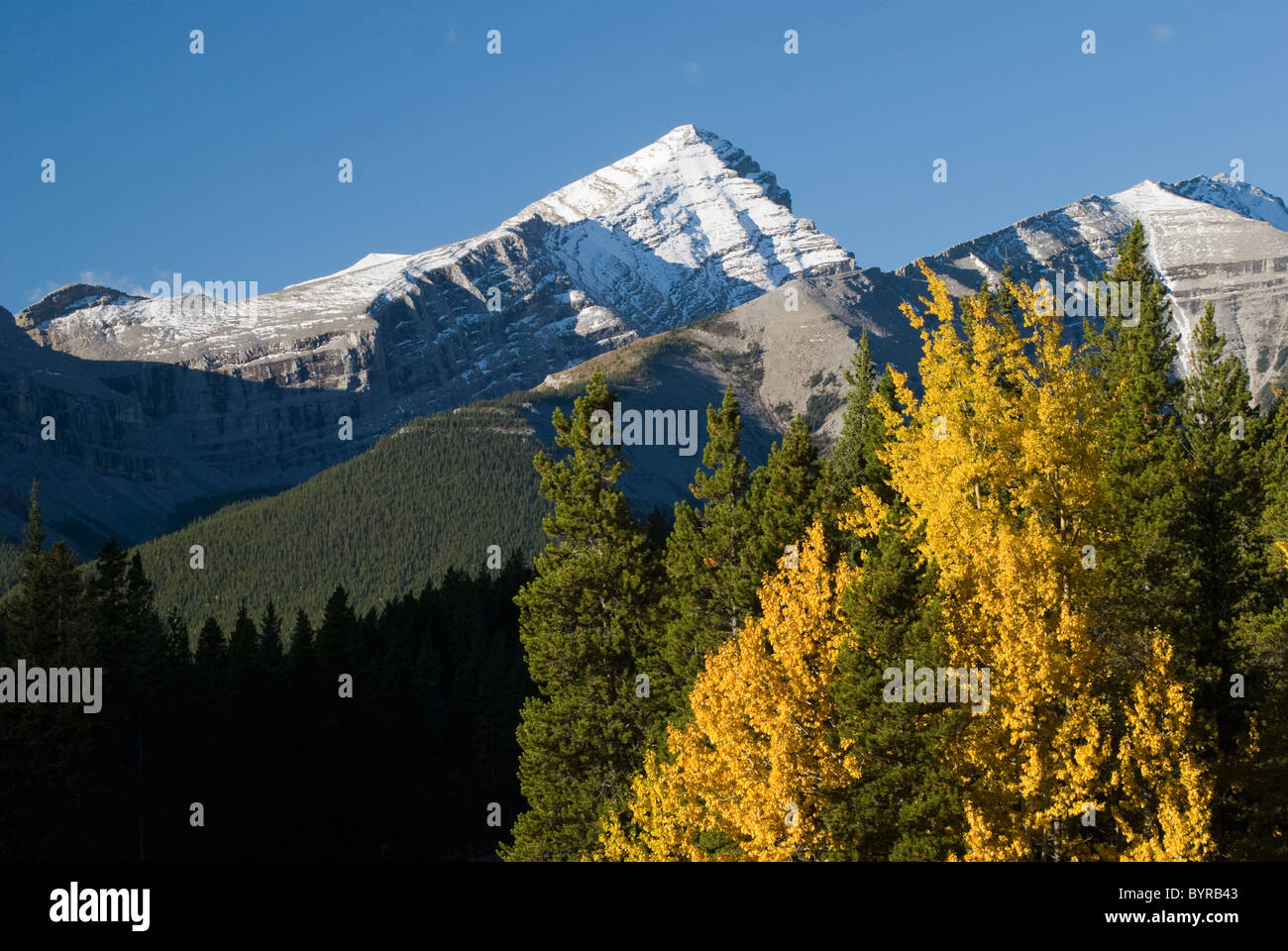 autumn colors in the rocky mountains; alberta, canada Stock Photo - Alamy