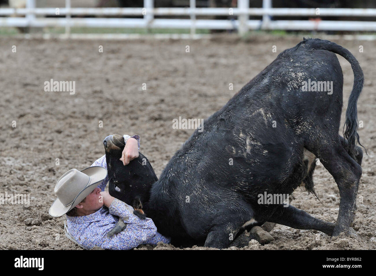 Bulldogging, Steer Wrestling, Teen, Teenager, Horse, Horses, Cowboy