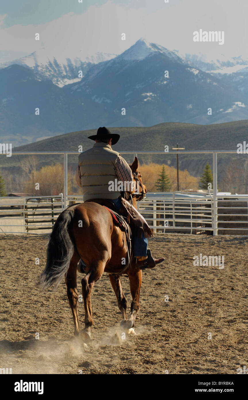 Salmon Select Horse Sale, Roping, Team Roping, TieDown Roping, Calf