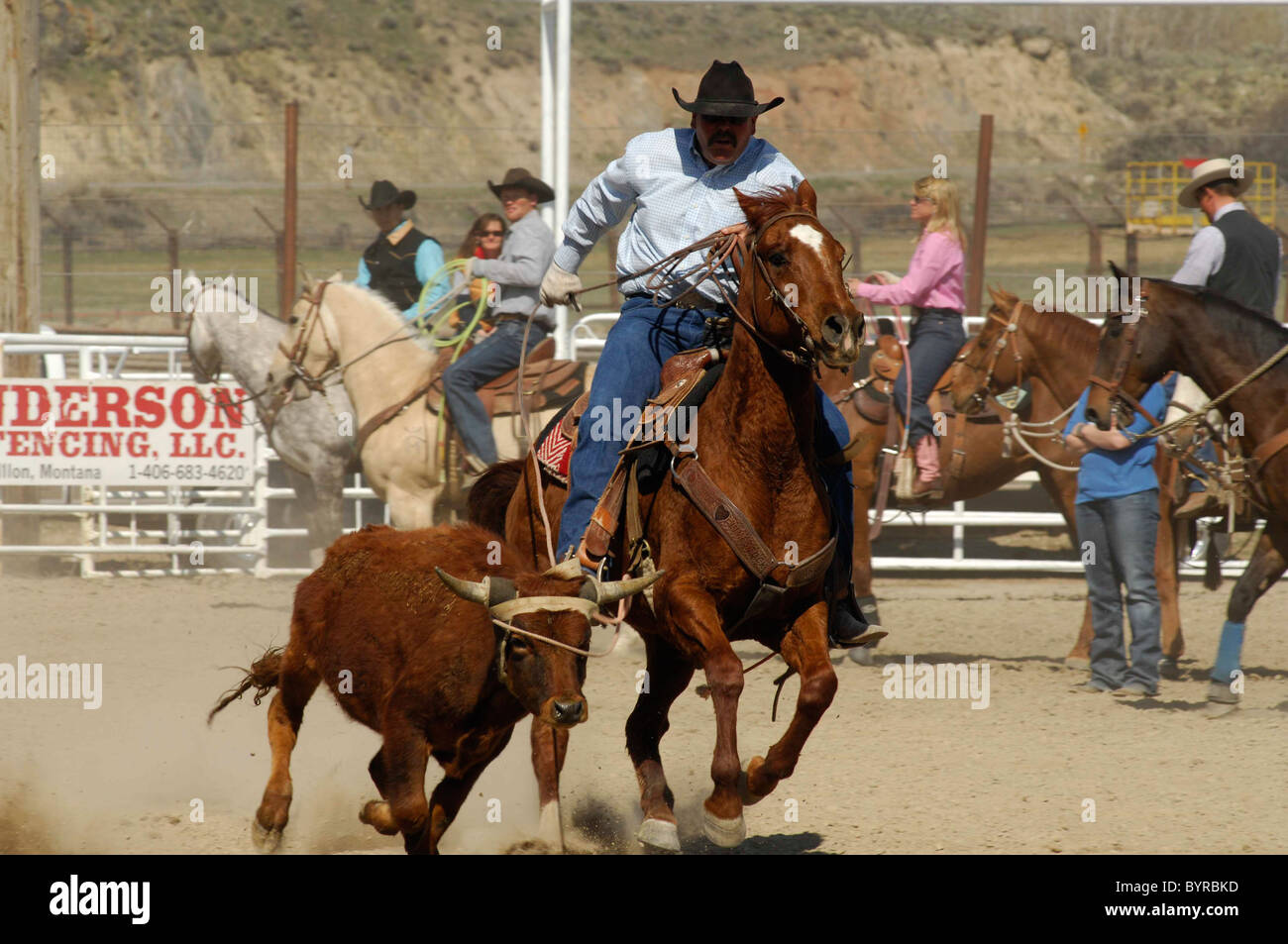 Salmon Select Horse Sale, Roping, Team Roping, TieDown Roping, Calf