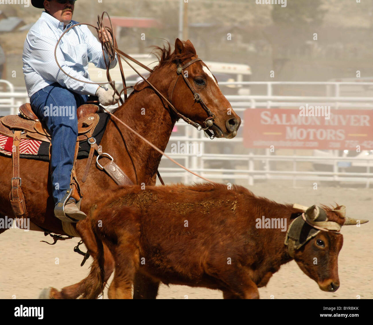 Salmon Select Horse Sale, Roping, Team Roping, TieDown Roping, Calf