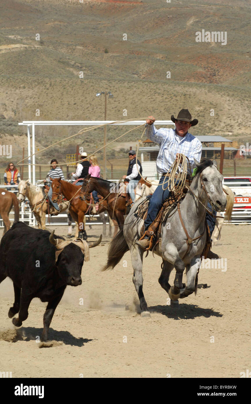 Salmon Select Horse Sale, Roping, Team Roping, TieDown Roping, Calf