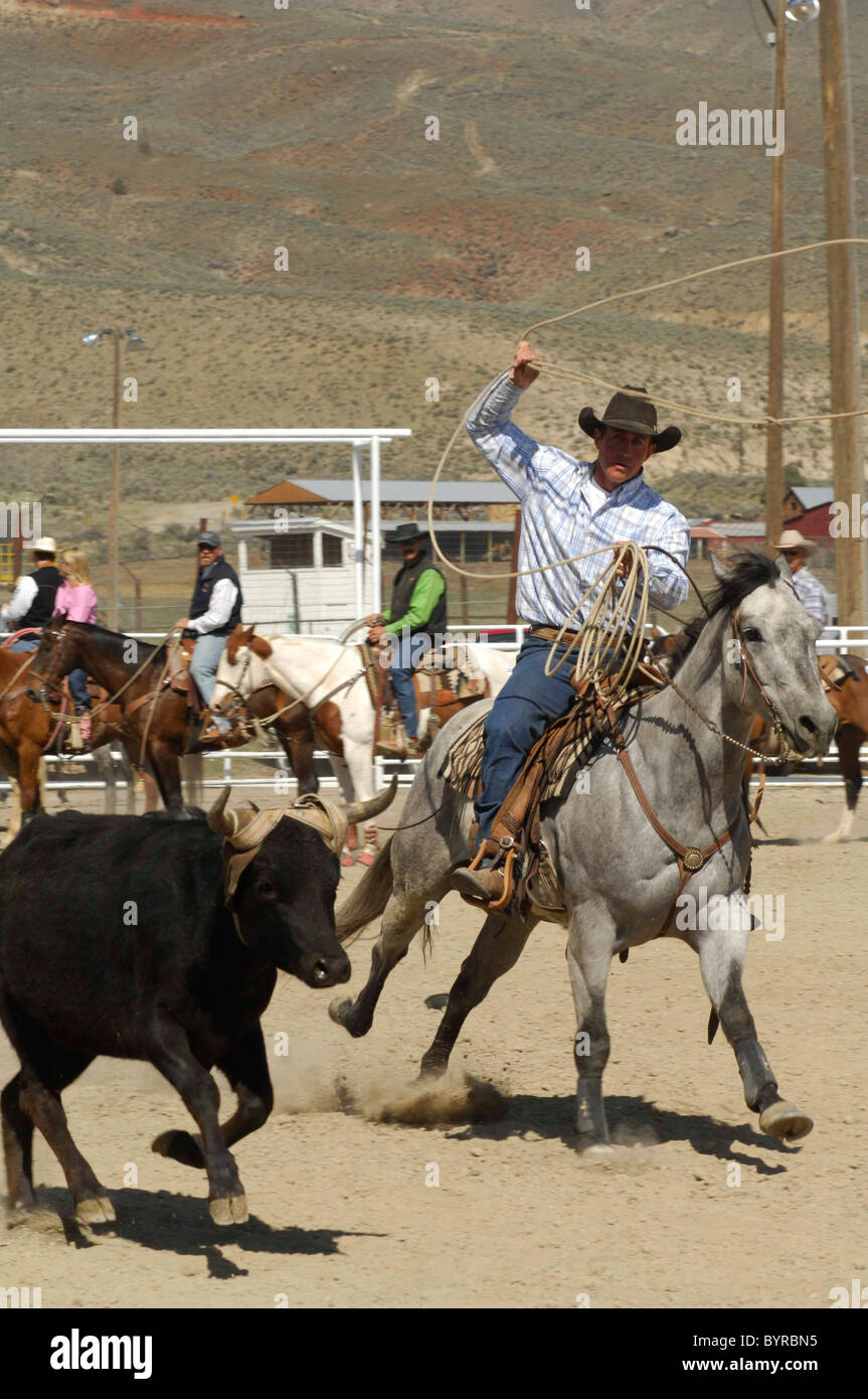 Salmon Select Horse Sale, Roping, Team Roping, TieDown Roping, Calf Roping, Horse, Horses
