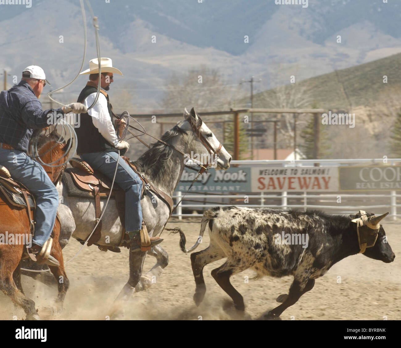 Salmon Select Horse Sale, Roping, Team Roping, TieDown Roping, Calf