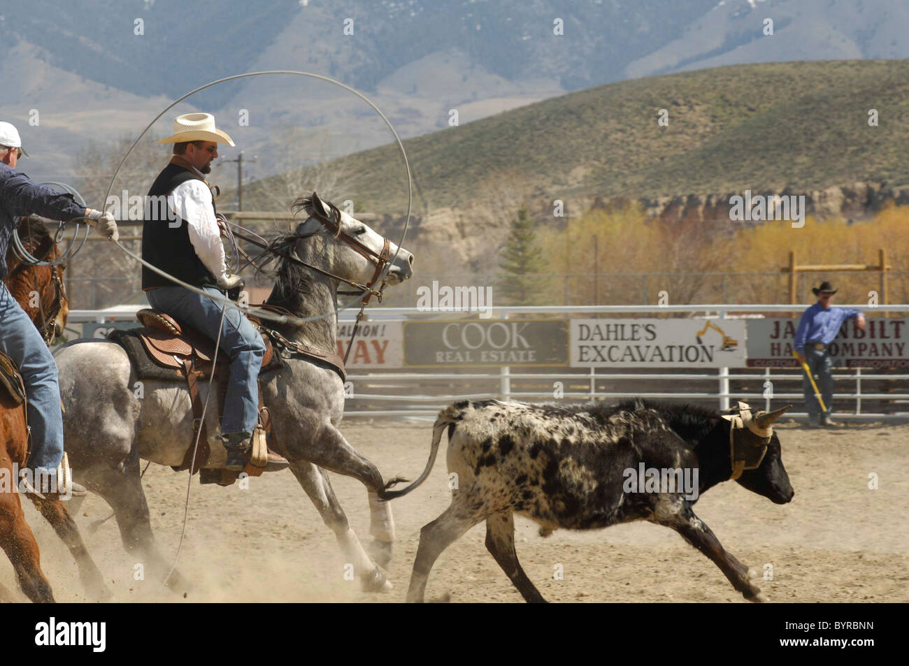 Salmon Select Horse Sale, Roping, Team Roping, TieDown Roping, Calf