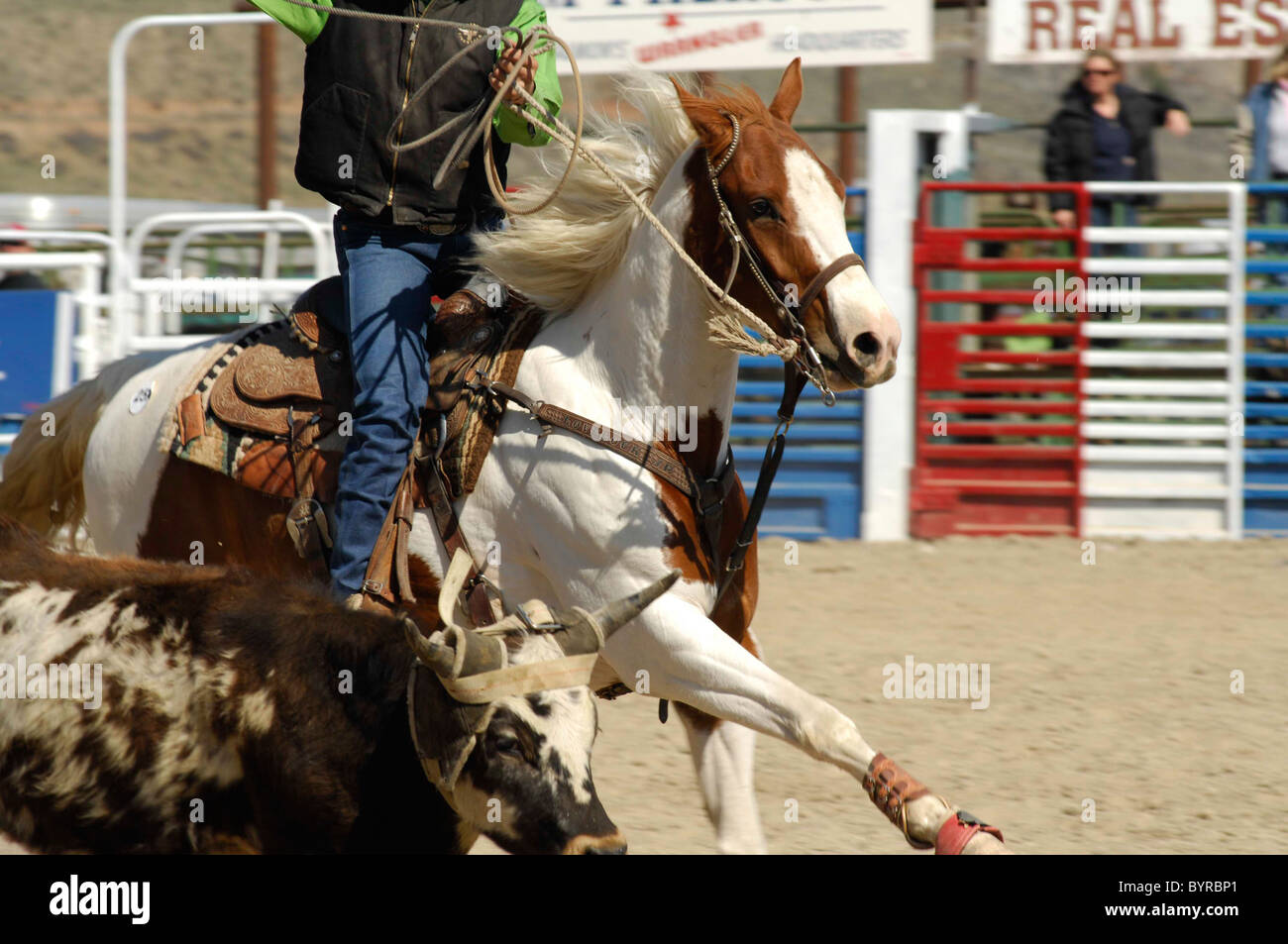 Salmon Select Horse Sale, Roping, Team Roping, TieDown Roping, Calf
