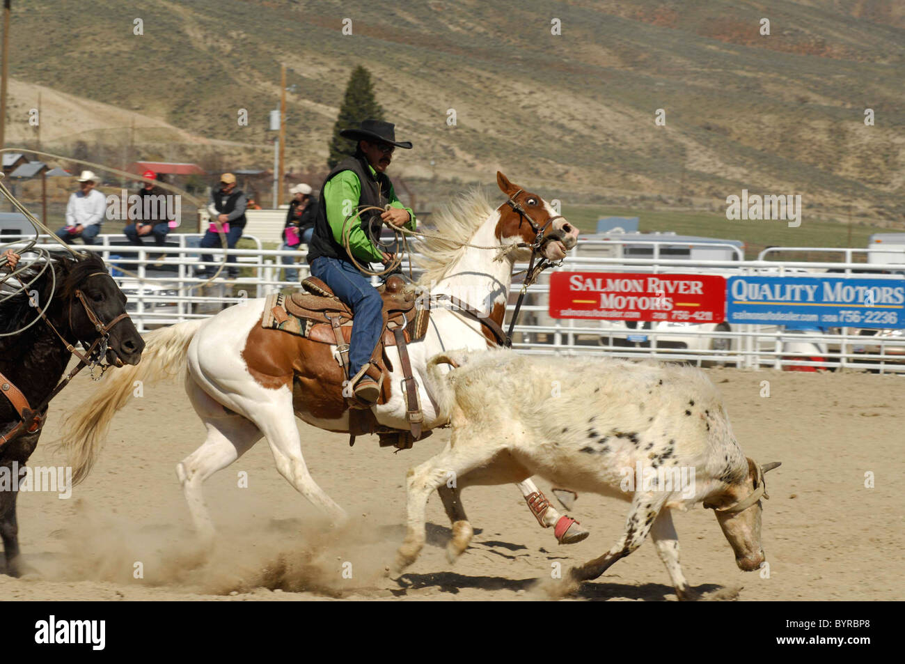 Salmon Select Horse Sale, Roping, Team Roping, TieDown Roping, Calf