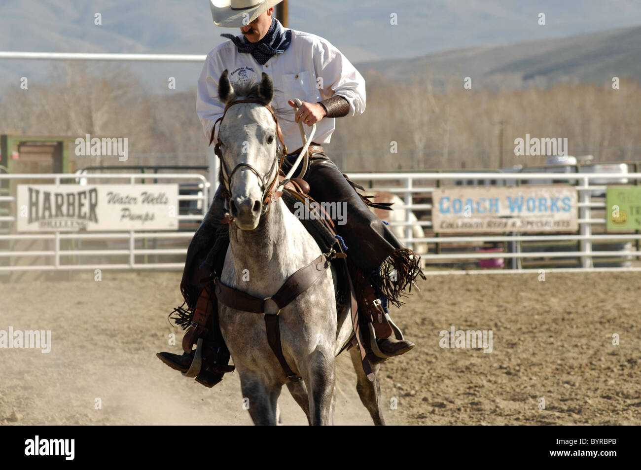 Salmon Select Horse Sale, Roping, Team Roping, TieDown Roping, Calf