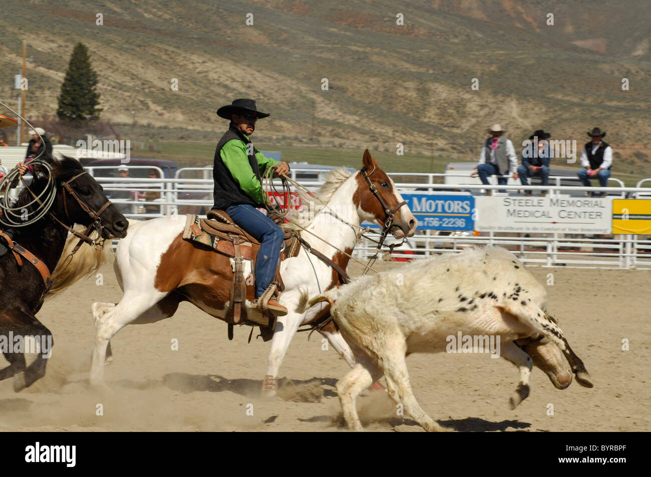 Salmon Select Horse Sale, Roping, Team Roping, TieDown Roping, Calf