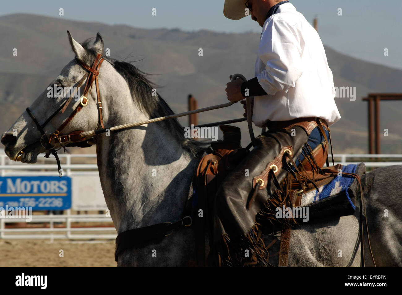Salmon Select Horse Sale, Roping, Team Roping, TieDown Roping, Calf