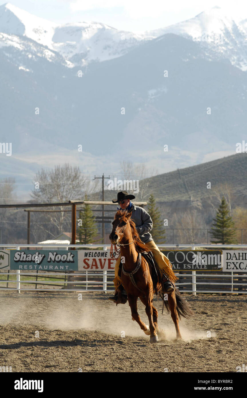 Salmon Select Horse Sale, Roping, Team Roping, TieDown Roping, Calf