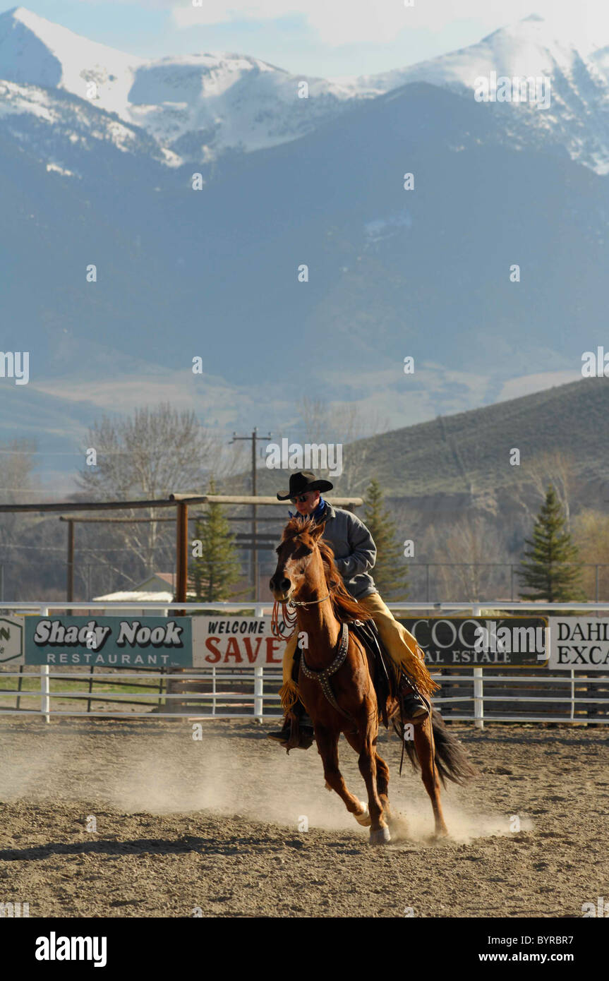 Salmon Select Horse Sale, Roping, Team Roping, TieDown Roping, Calf