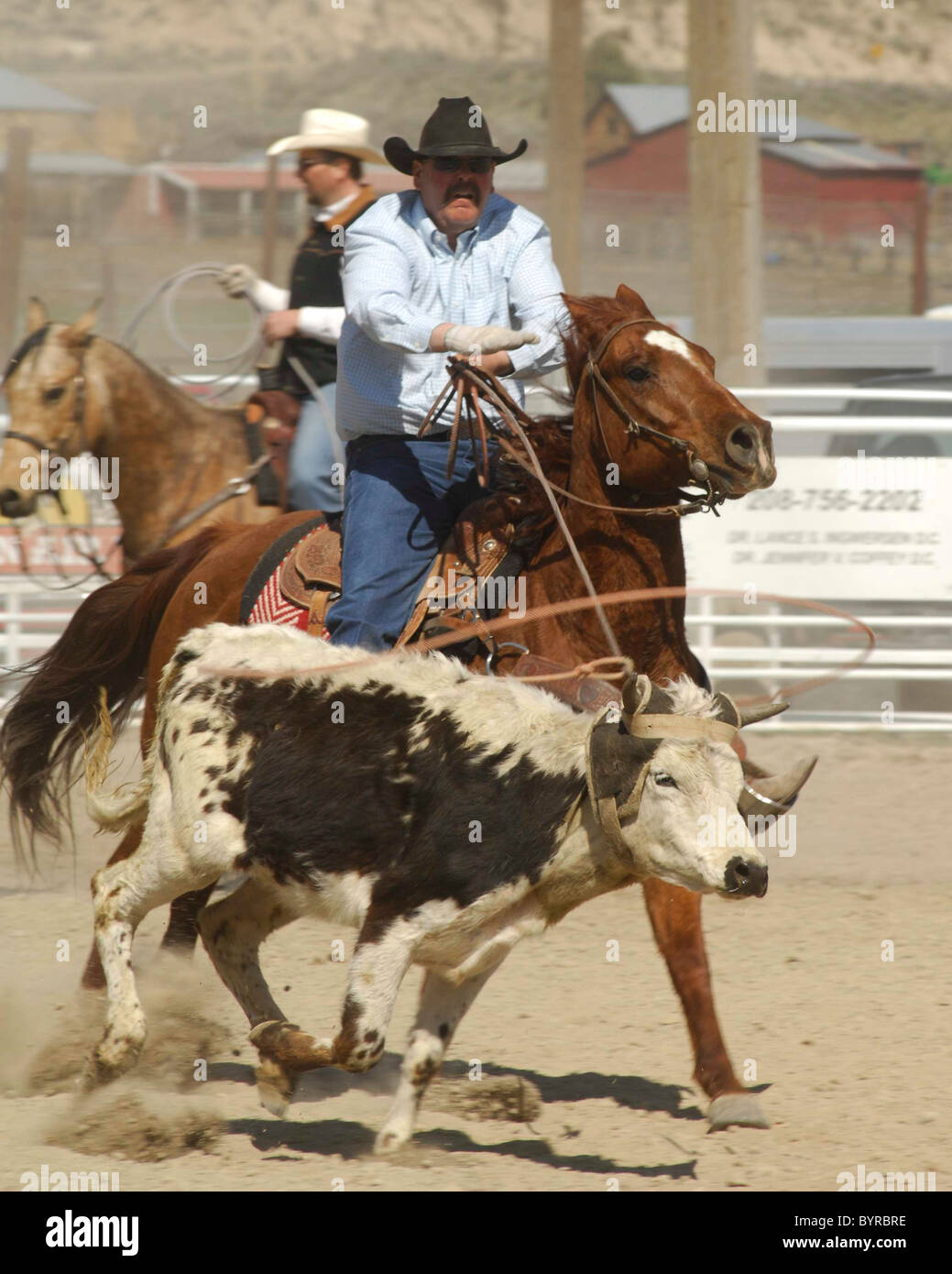 Salmon Select Horse Sale, Roping, Team Roping, TieDown Roping, Calf