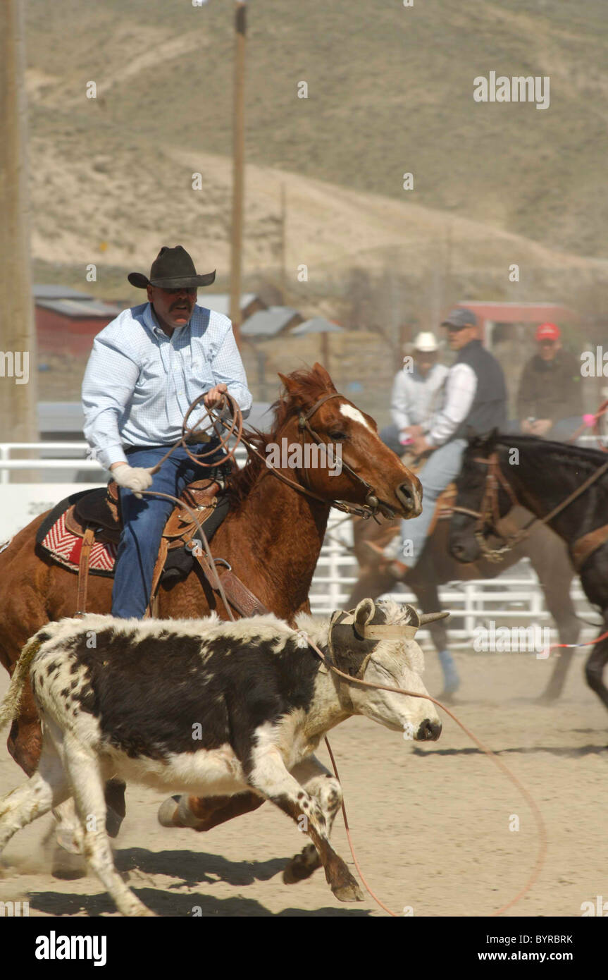Salmon Select Horse Sale, Roping, Team Roping, TieDown Roping, Calf