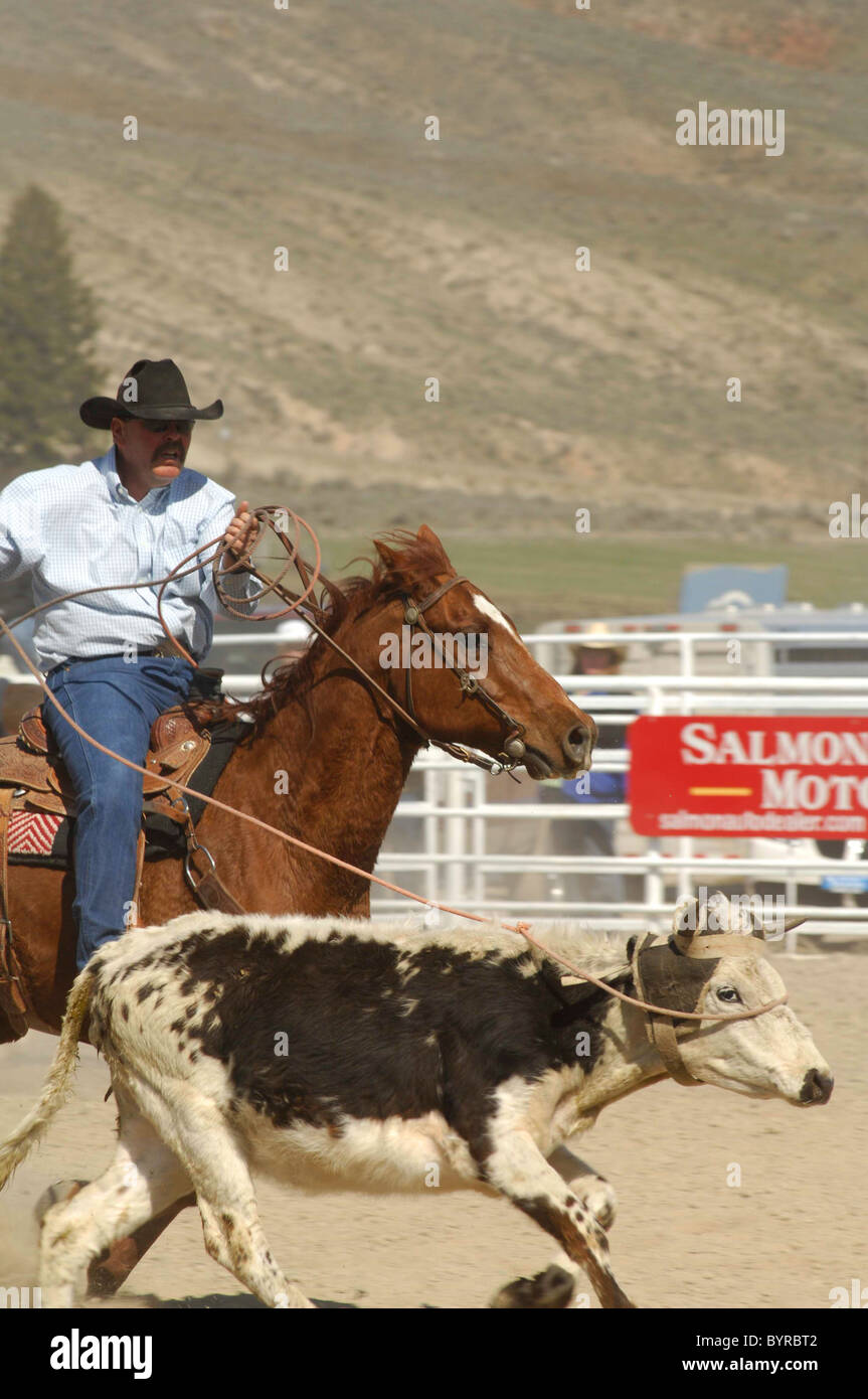 Salmon Select Horse Sale, Roping, Team Roping, TieDown Roping, Calf