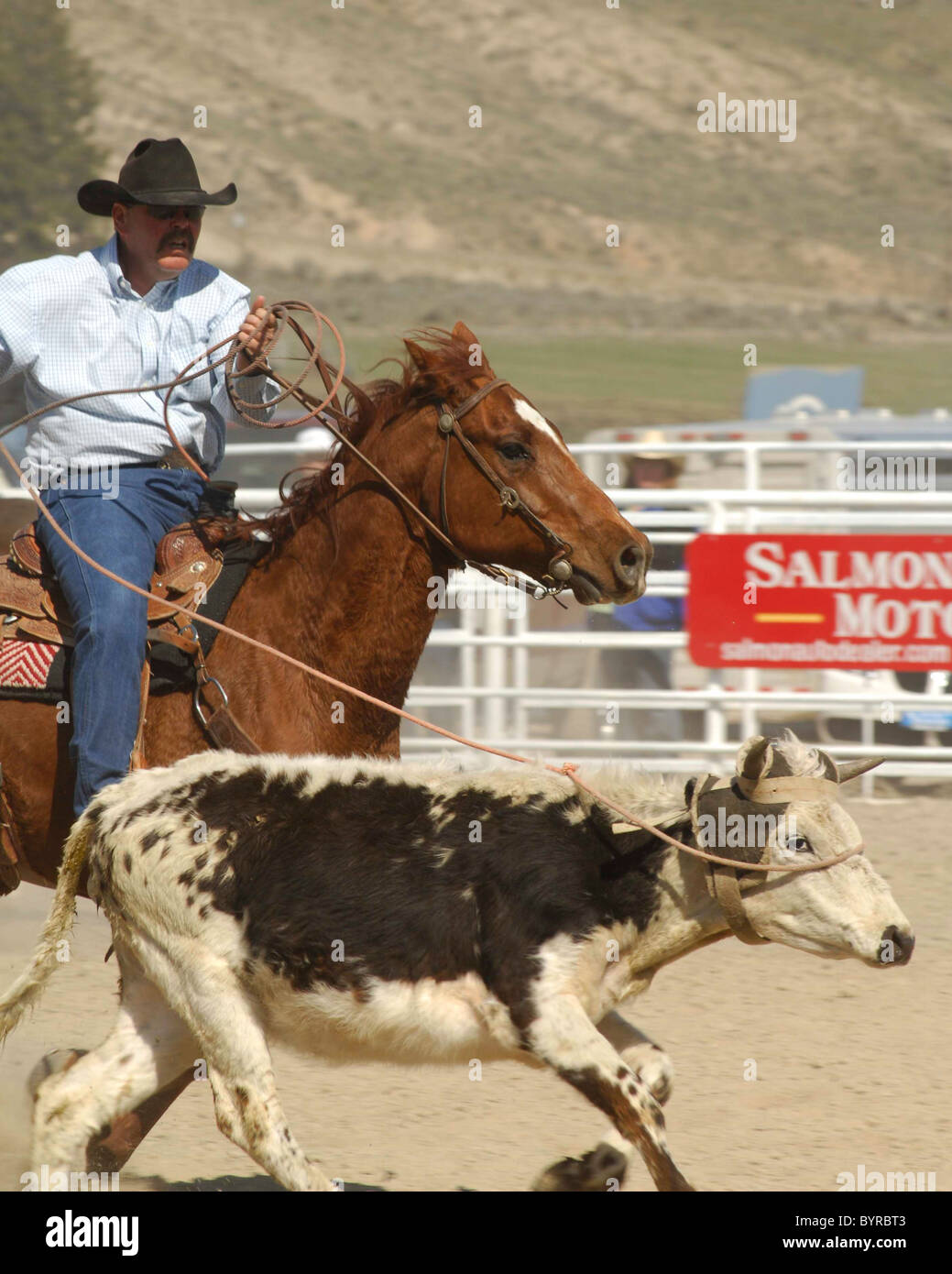 Salmon Select Horse Sale, Roping, Team Roping, TieDown Roping, Calf