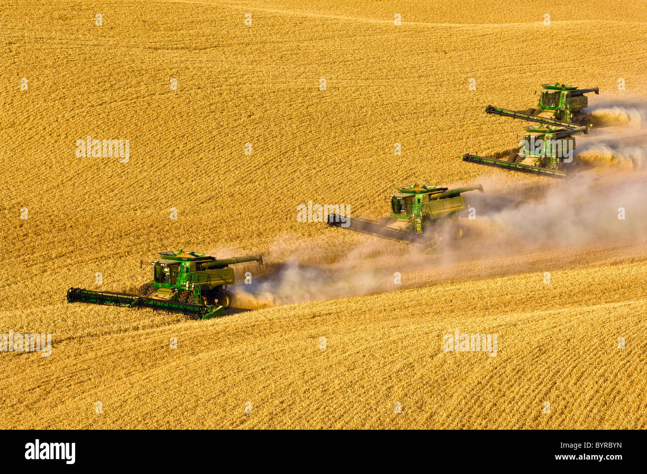 Four John Deere combines in tandem harvest wheat in a draw between hills / near Pullman, Palouse Region, Washington, USA. Stock Photo