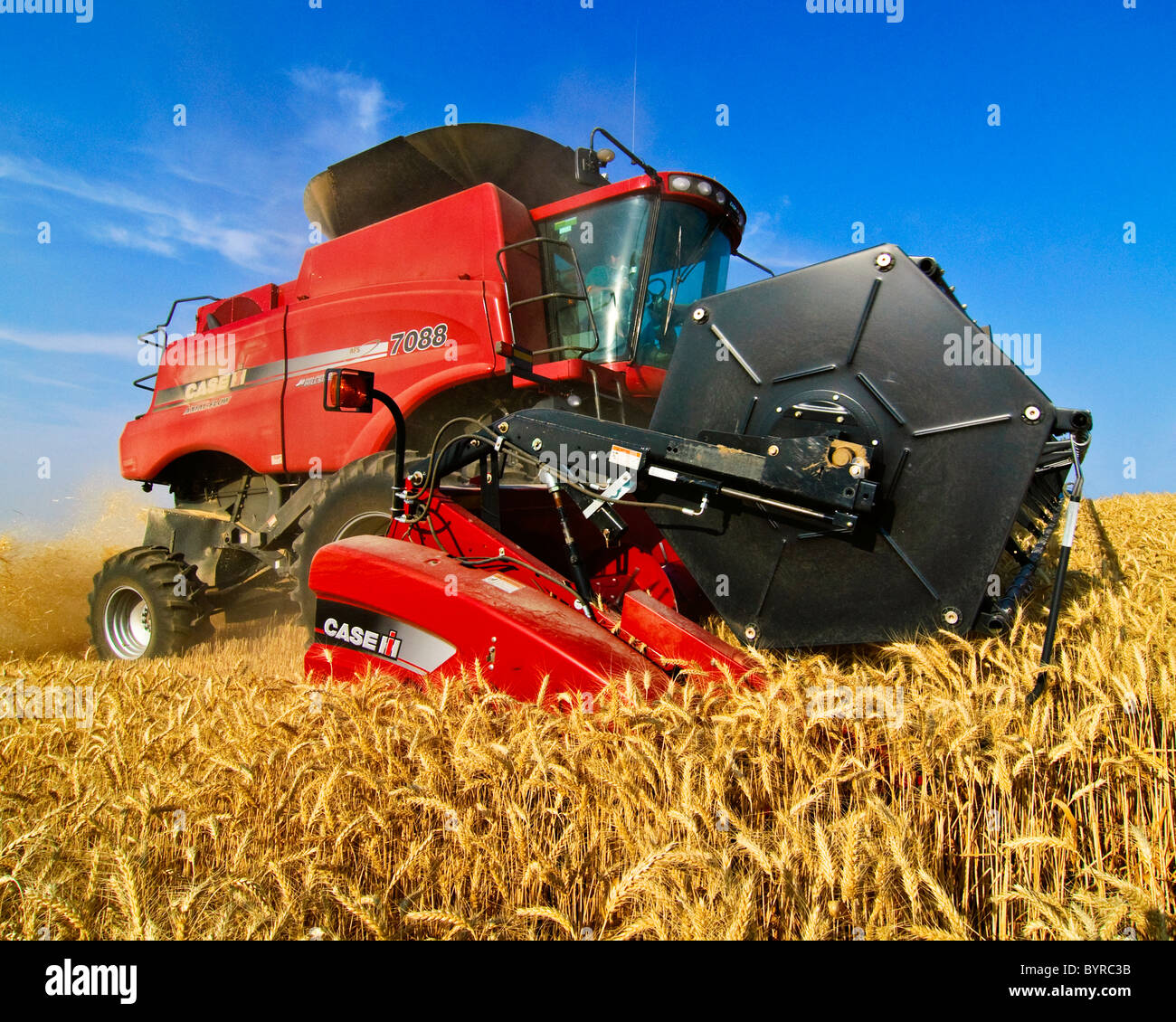 Agriculture - Close up of a Case IH combine harvesting wheat in the Palouse region / near Pullman, Washington, USA. Stock Photo