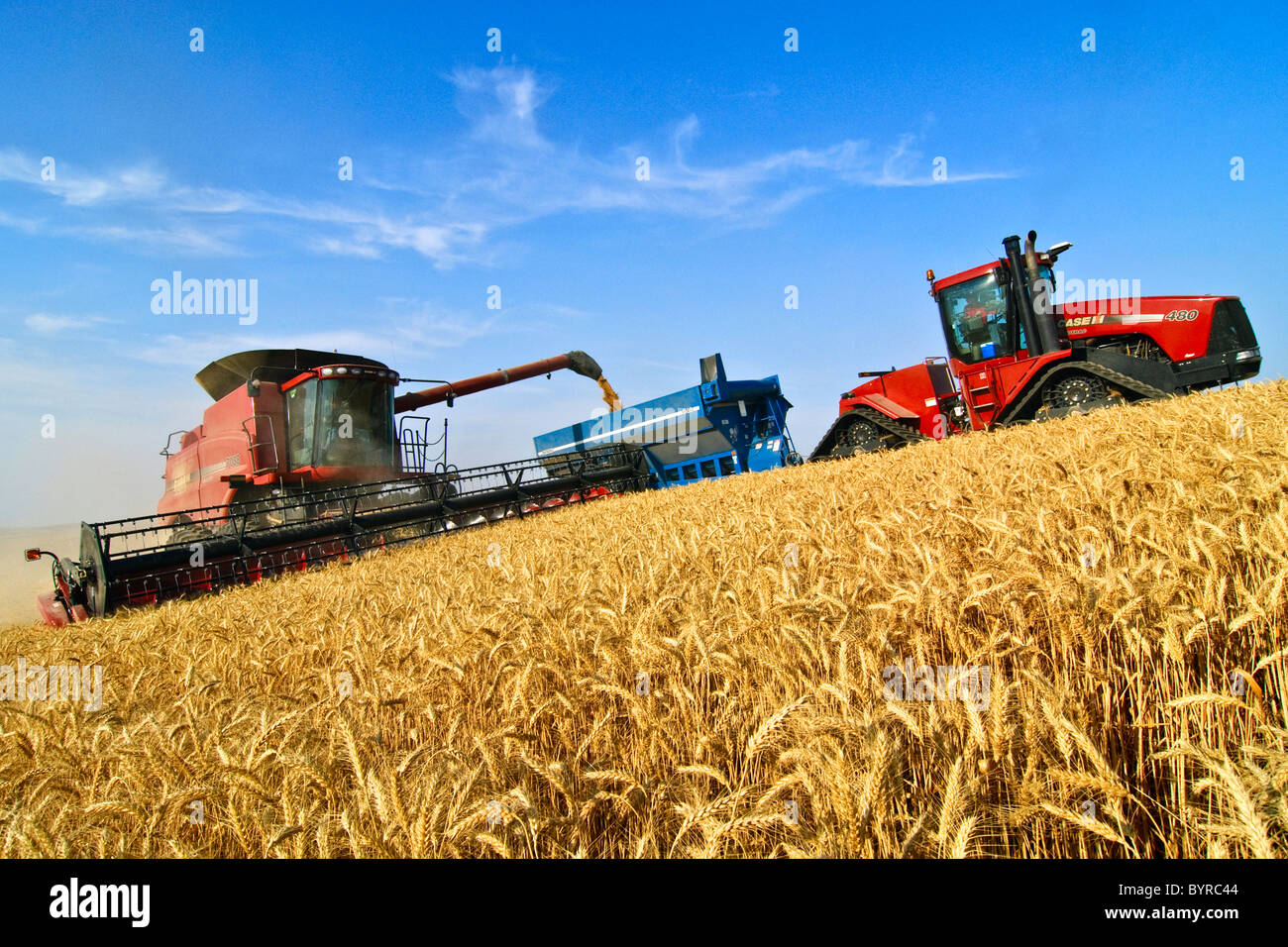 A Case IH combine harvests wheat on a steep hillside while unloading “on-the-go” into a grain cart pulled by a tracked tractor. Stock Photo