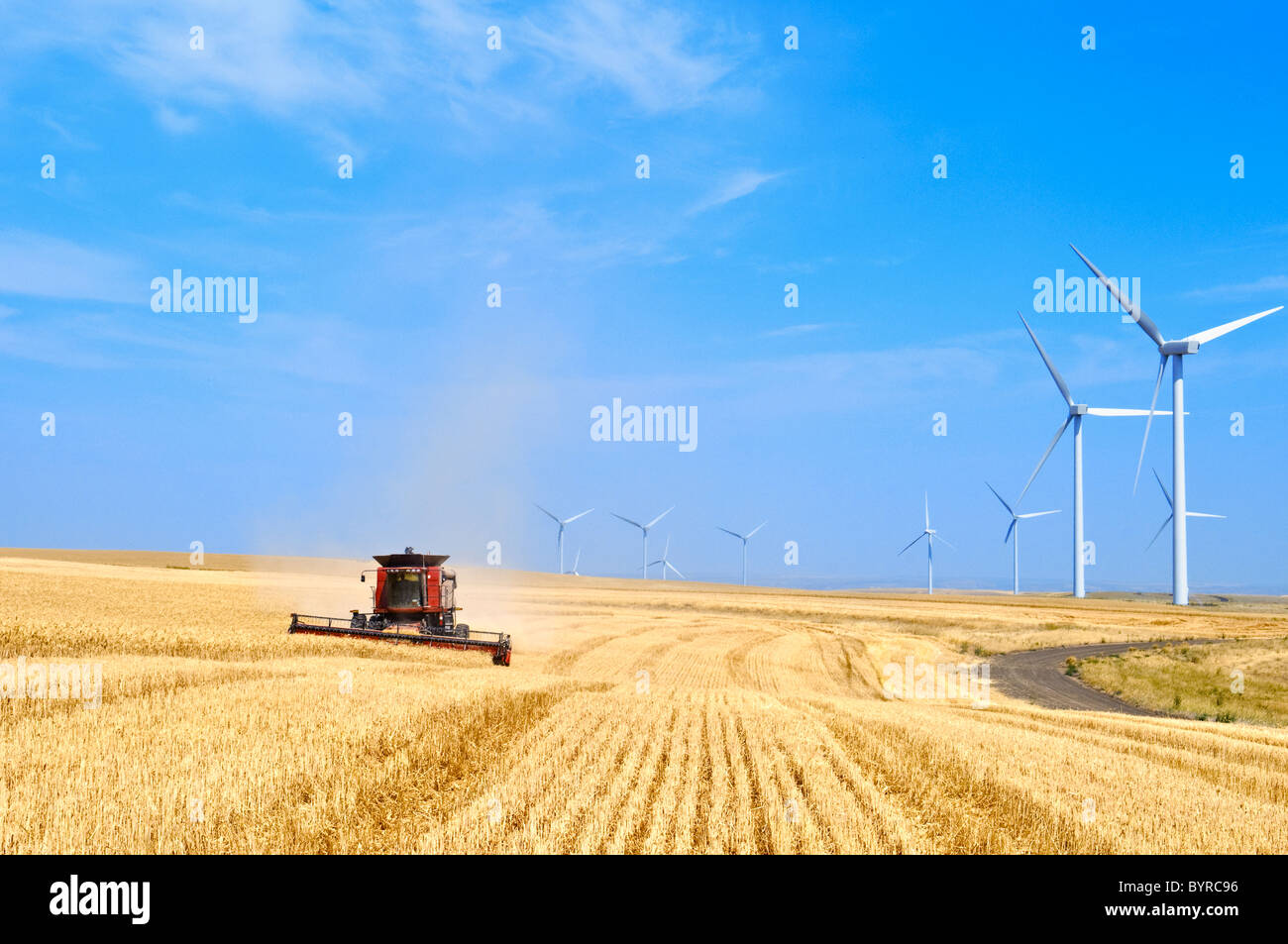 A Case IH combine harvests wheat with a row of large wind turbines along the perimeter of the field / Washington, USA. Stock Photo