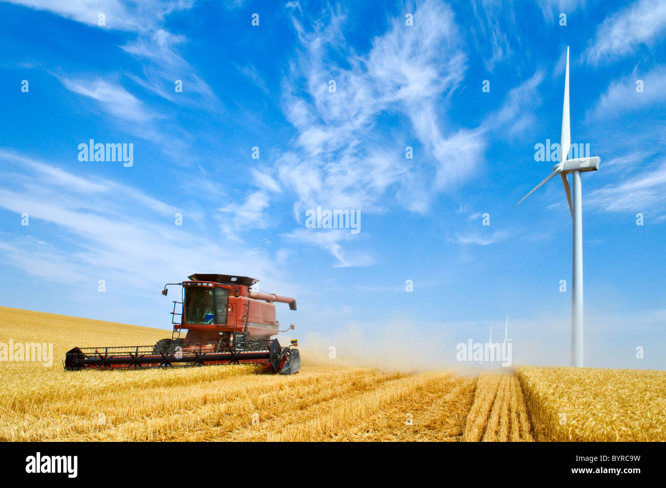 A Case IH combine harvests wheat with three large wind turbines along the perimeter of the field / Washington, USA. Stock Photo