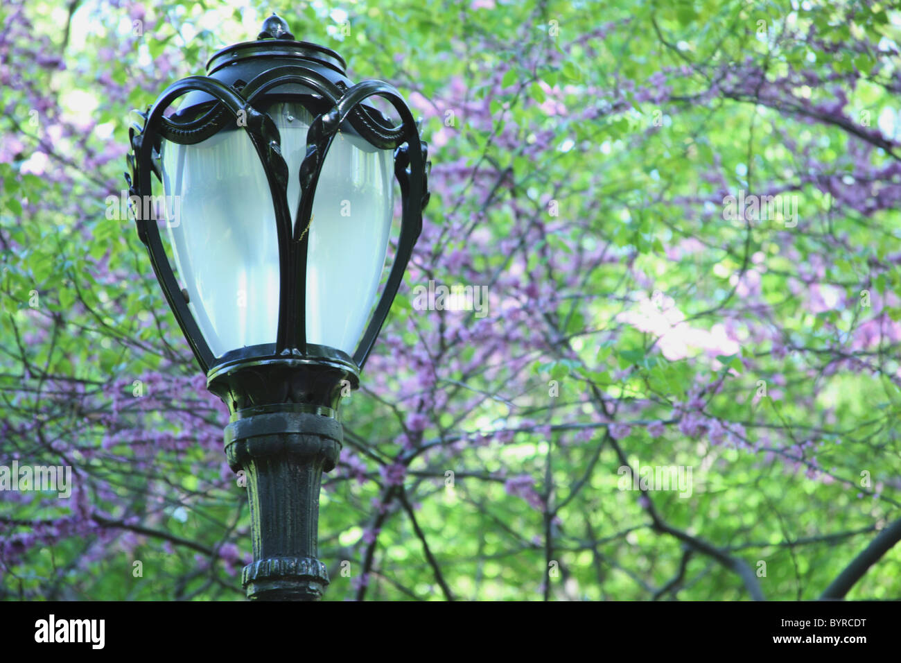 the top of a lamp post with trees in the background; manhattan, new