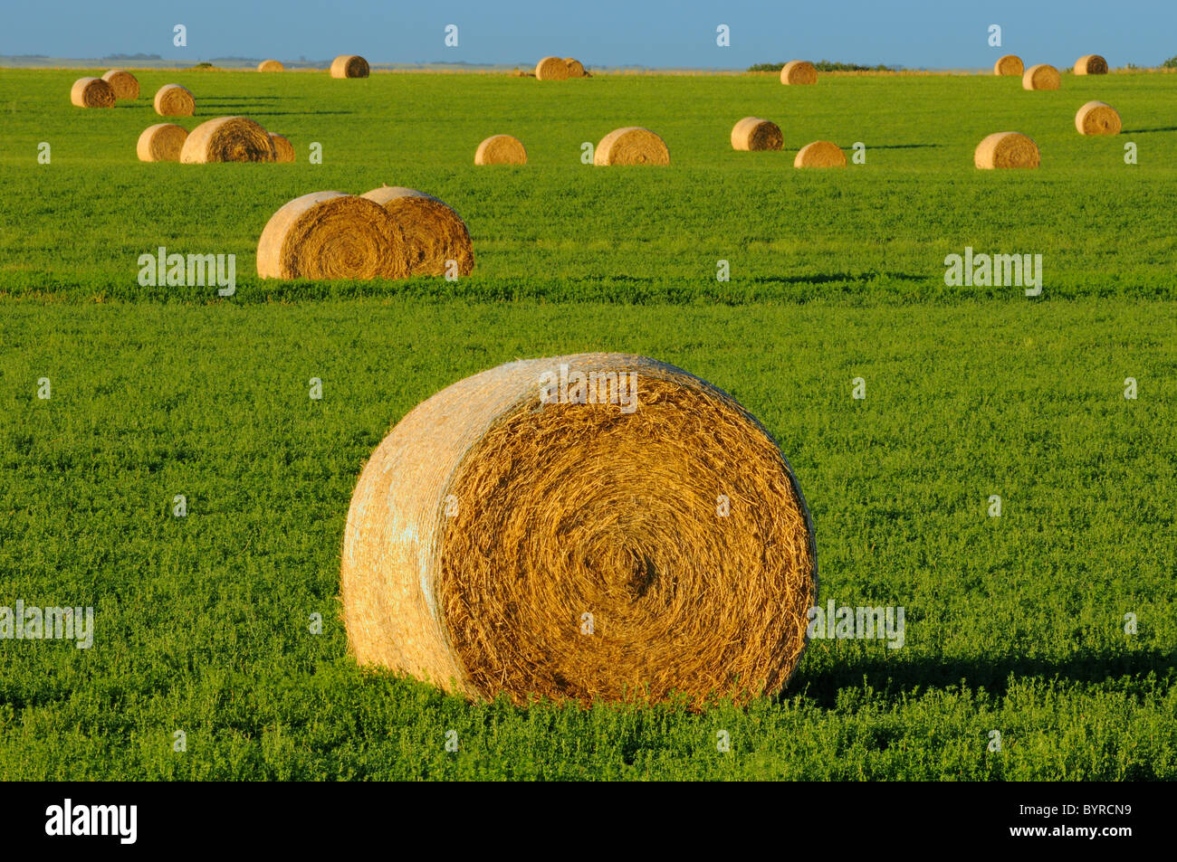 Round Hay Bales High Resolution Stock Photography And Images Alamy