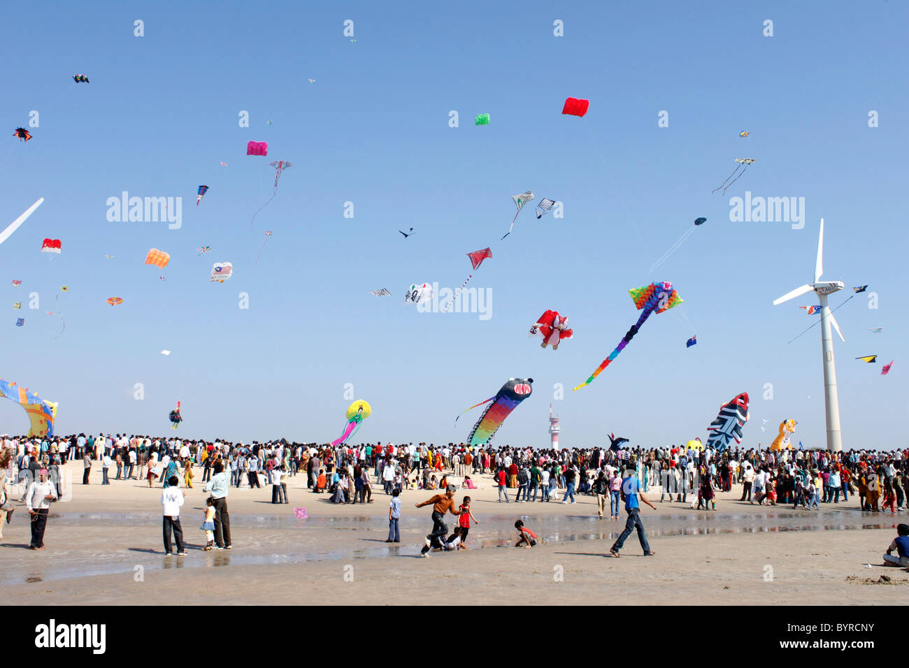 Kite flying festival outlet