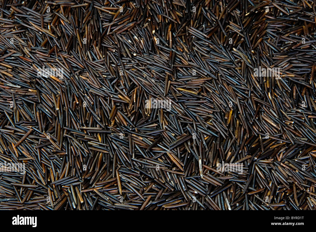 Canadian wild rice hires stock photography and images Alamy