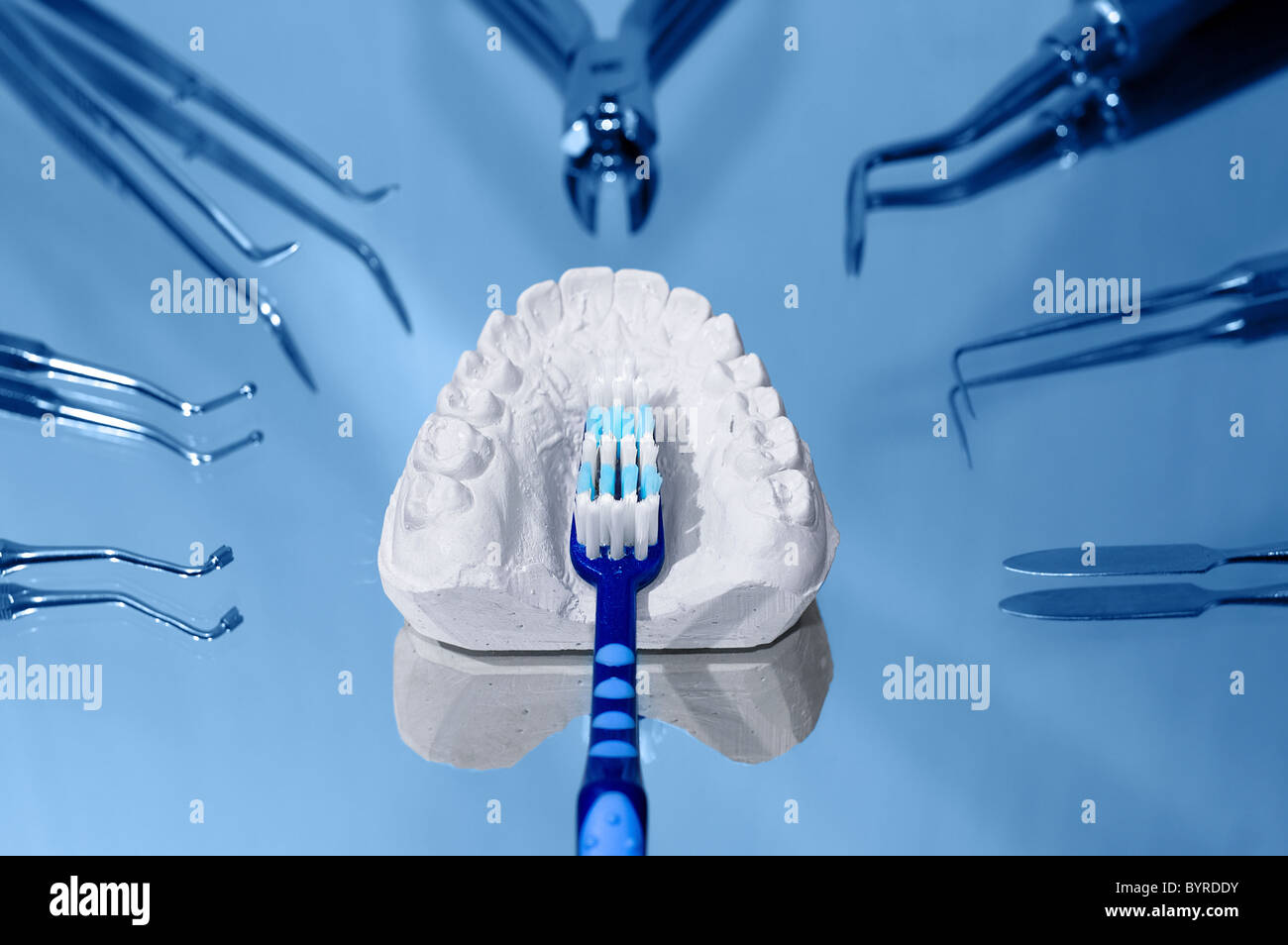 Toothbrush and gypsum dental mold surrounded by dental instruments