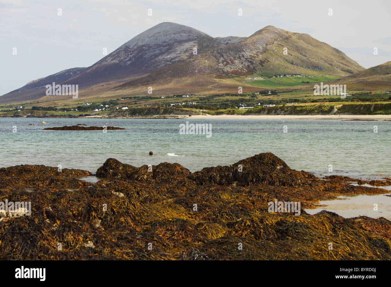Old head mayo hires stock photography and images Alamy