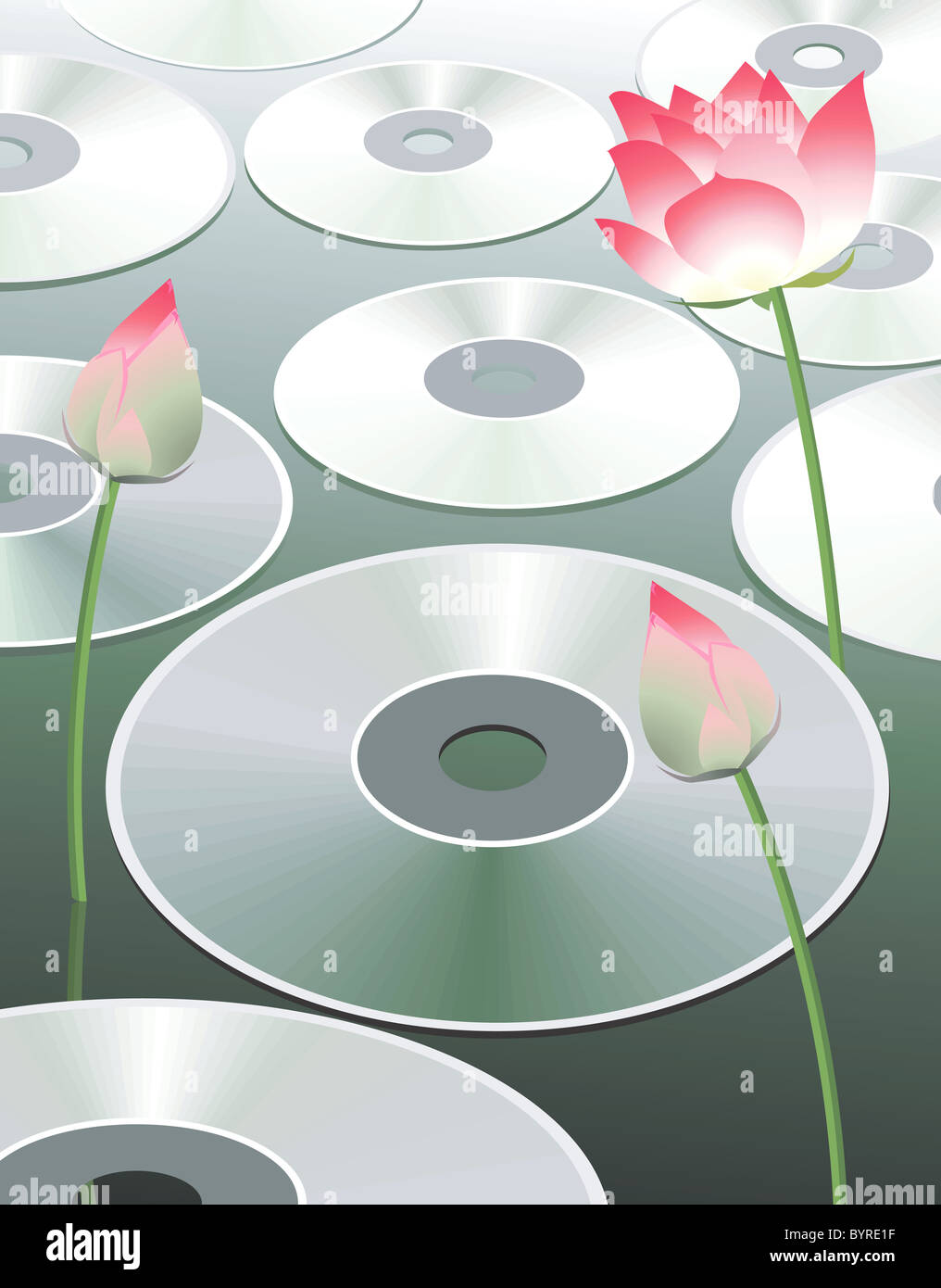 Discs and lotus Stock Photo