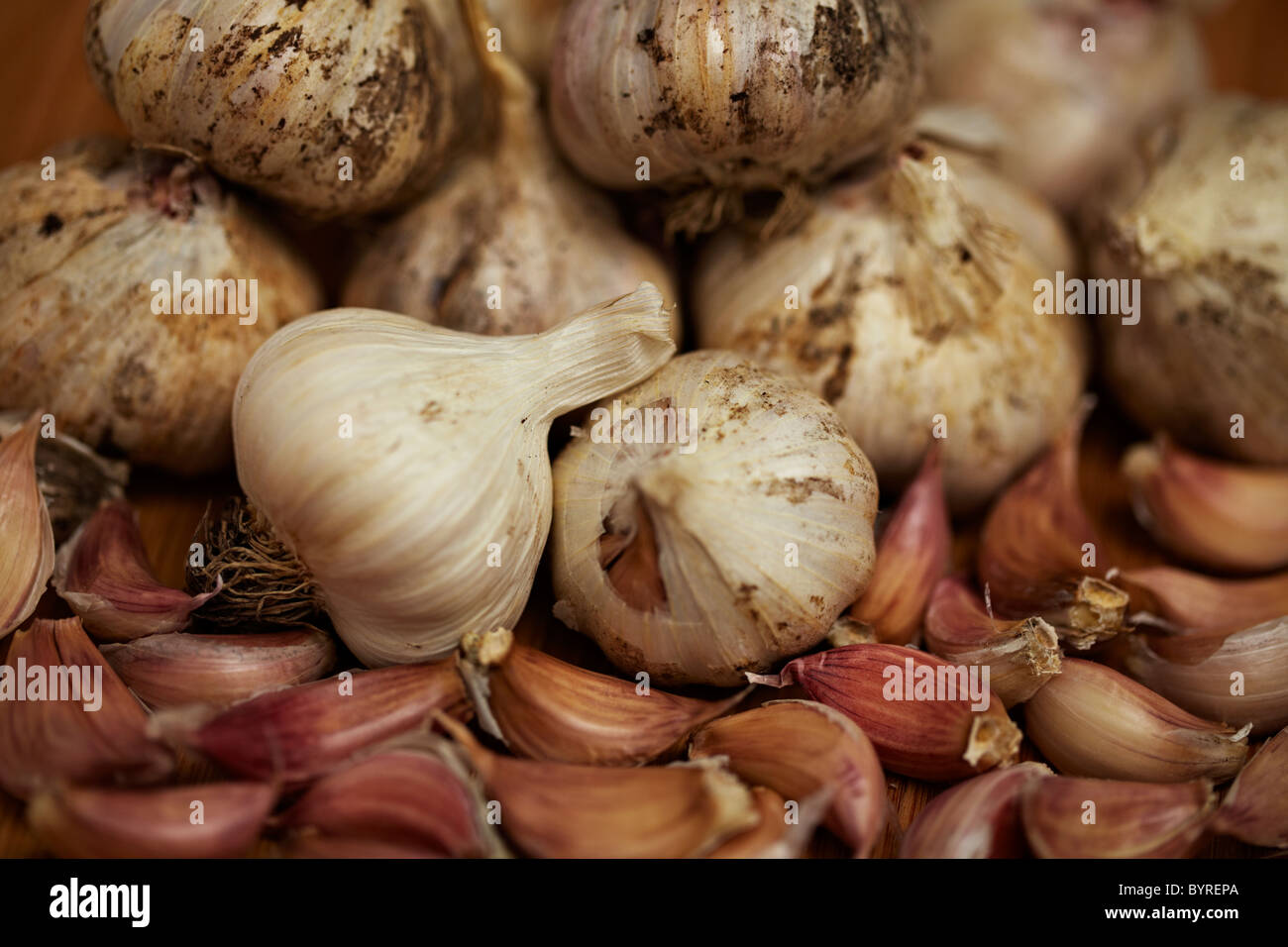 Home grown garlic Stock Photo Alamy