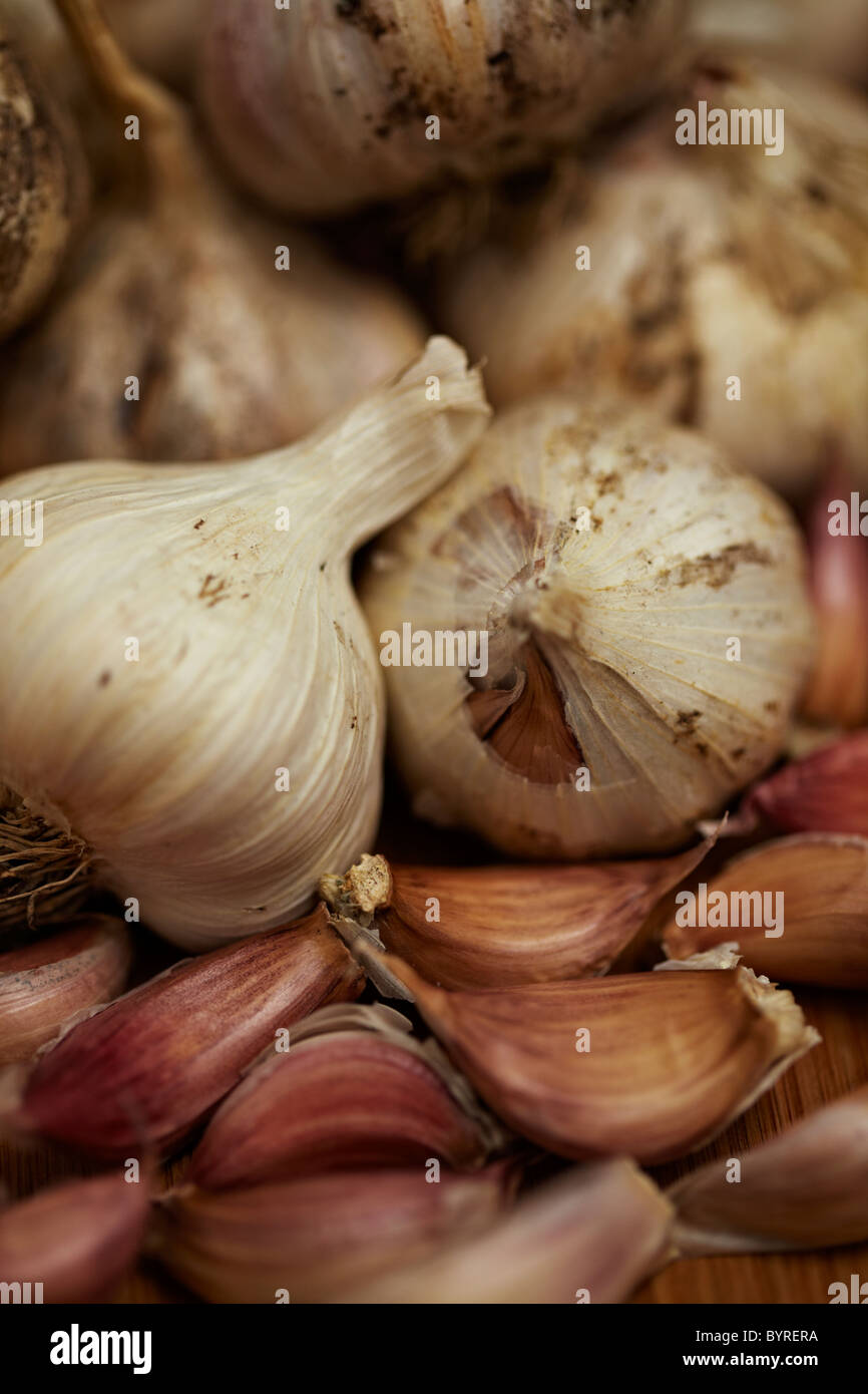 Home grown garlic Stock Photo