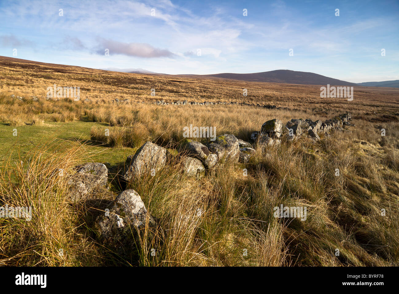 Typical Irish landscape. Shot in Wicklow mountains. Stock Photo