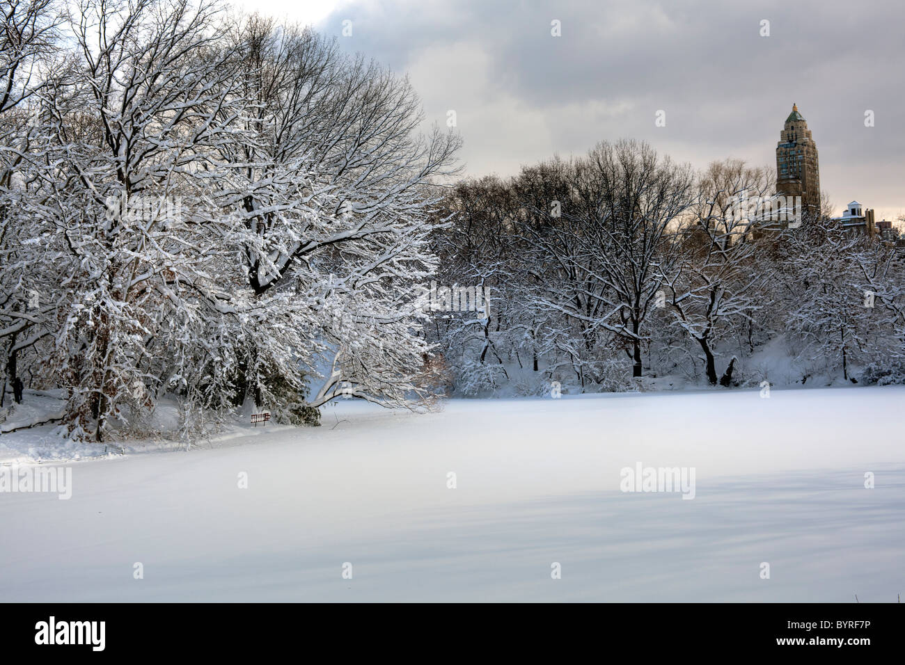 After a large snow storm early in the morning in Central Park Stock ...