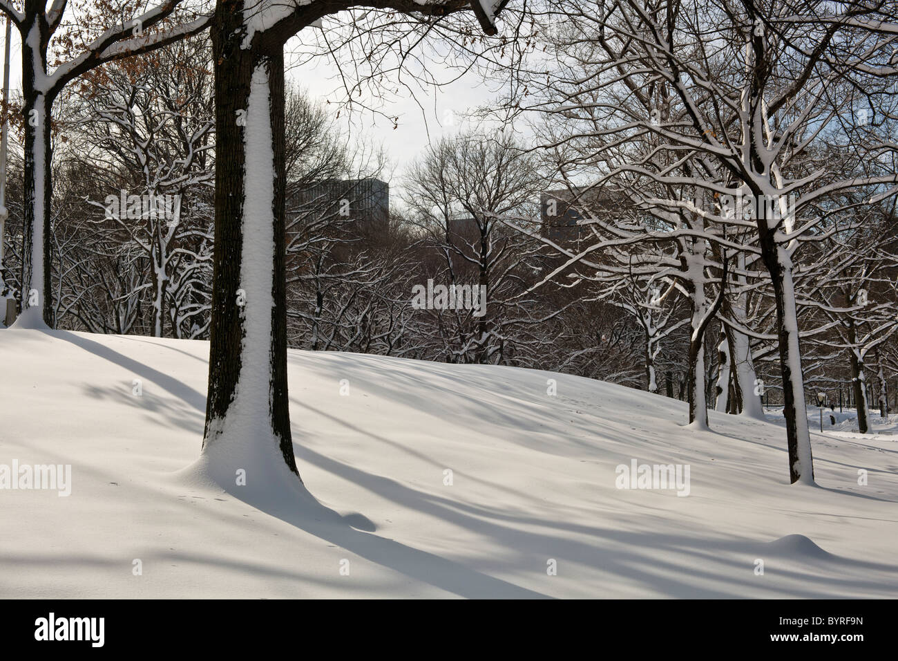 After a large snow storm early in the morning in Central Park Stock ...