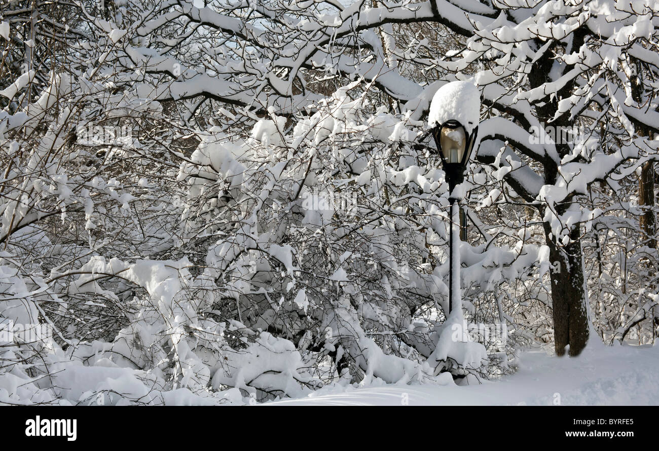 Street lamp covered with snow after snow storm in Central Park Stock Photo