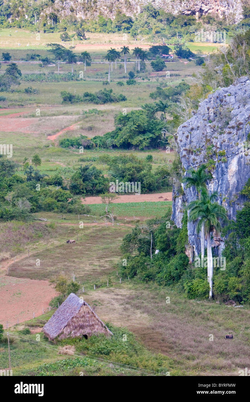 Cuba, Pinar del Rio Region, Valle de Viñales (Vinales) Area. Limestone Mogote on the right. Stock Photo