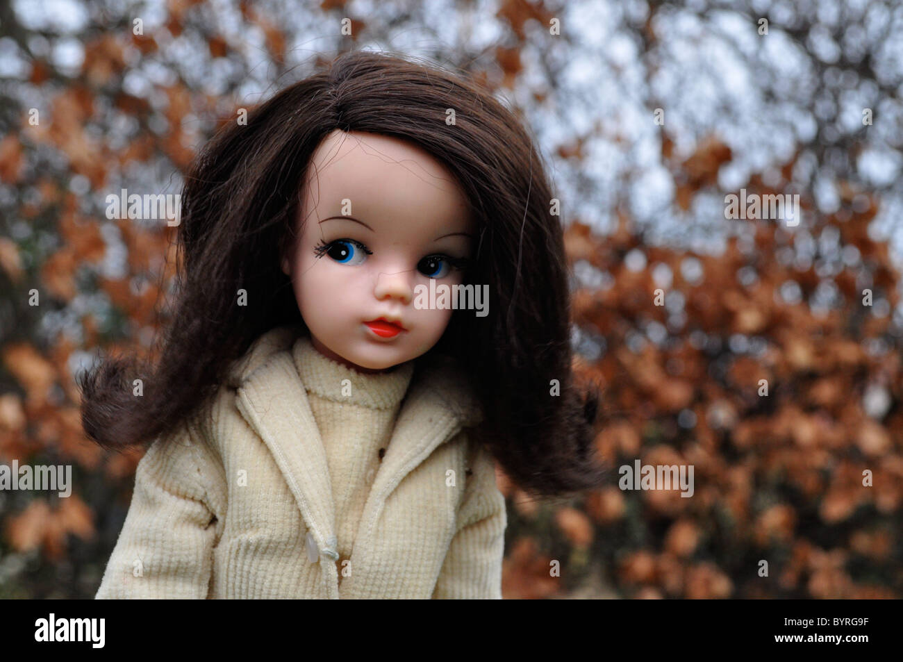 Vintage 1968 Sidepart Sindy doll by Pedigree Stock Photo