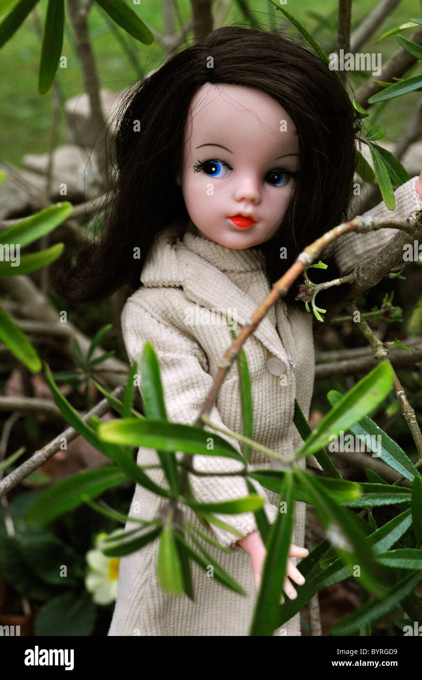 pedigree sindy doll