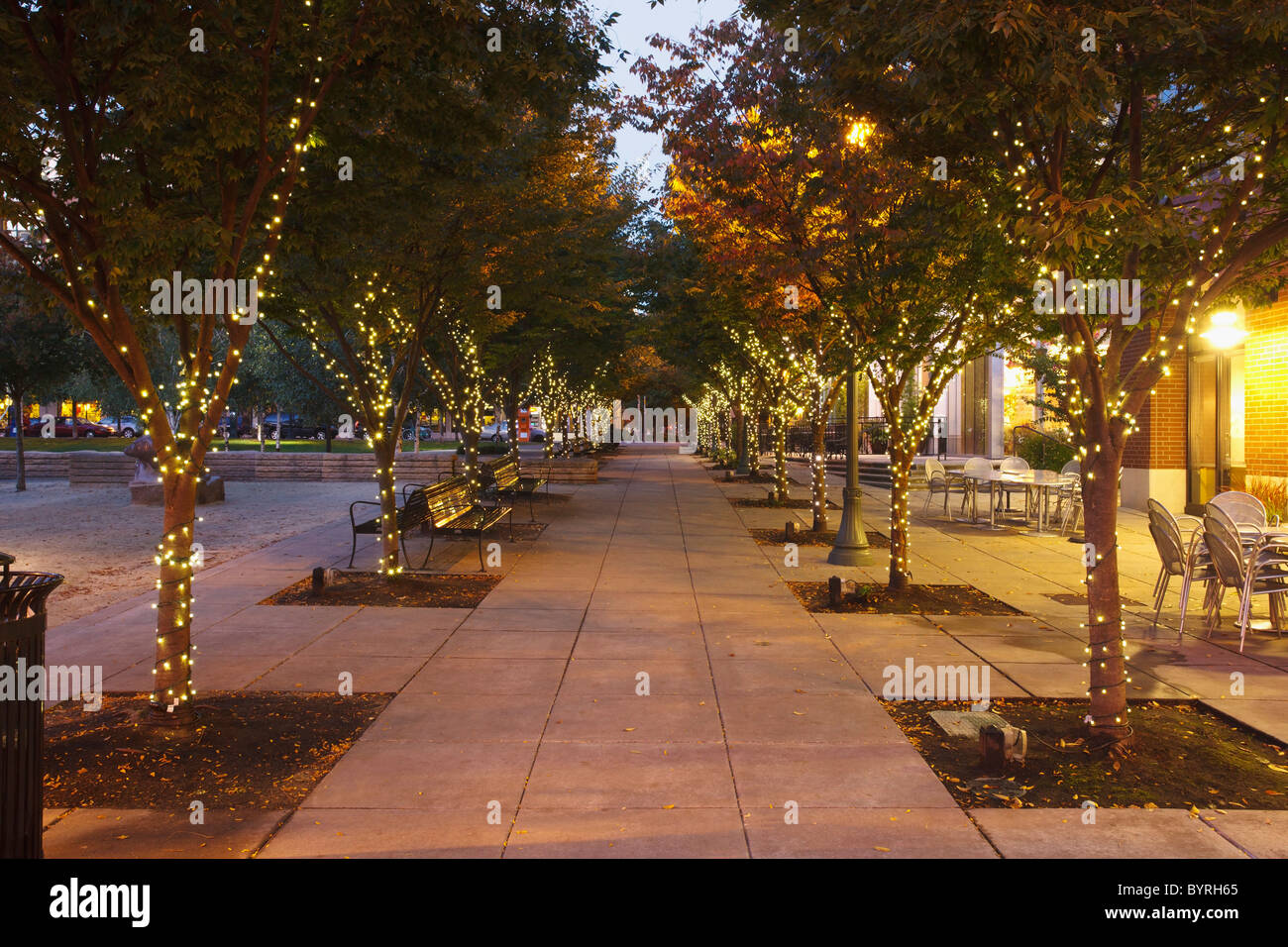 lights on the trees in jamison square in the pearl district; portland, oregon, united states of america Stock Photo
