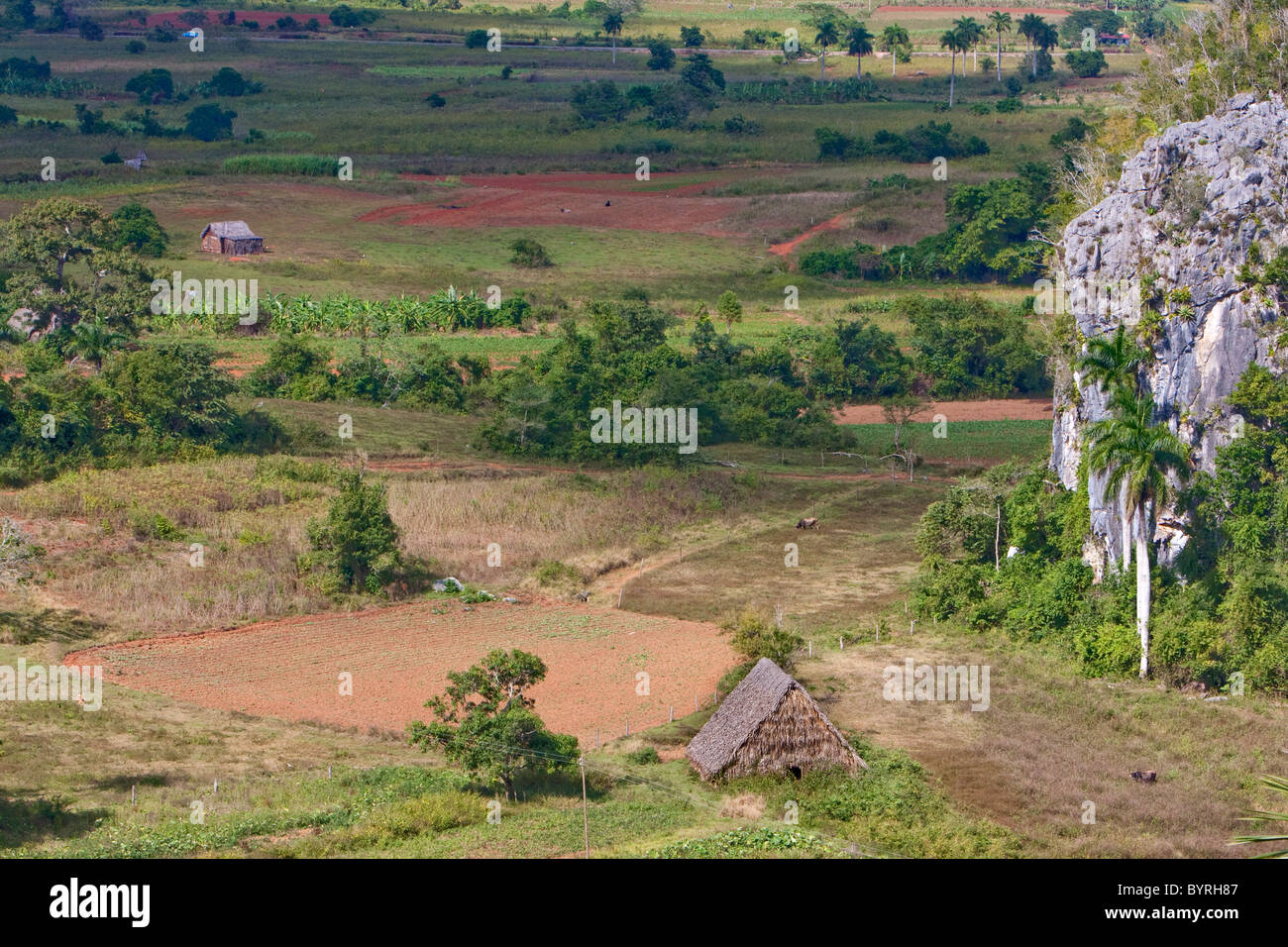 Cuba, Pinar del Rio Region, Valle de Viñales (Vinales) Area. Limestone Mogote on the right. Stock Photo